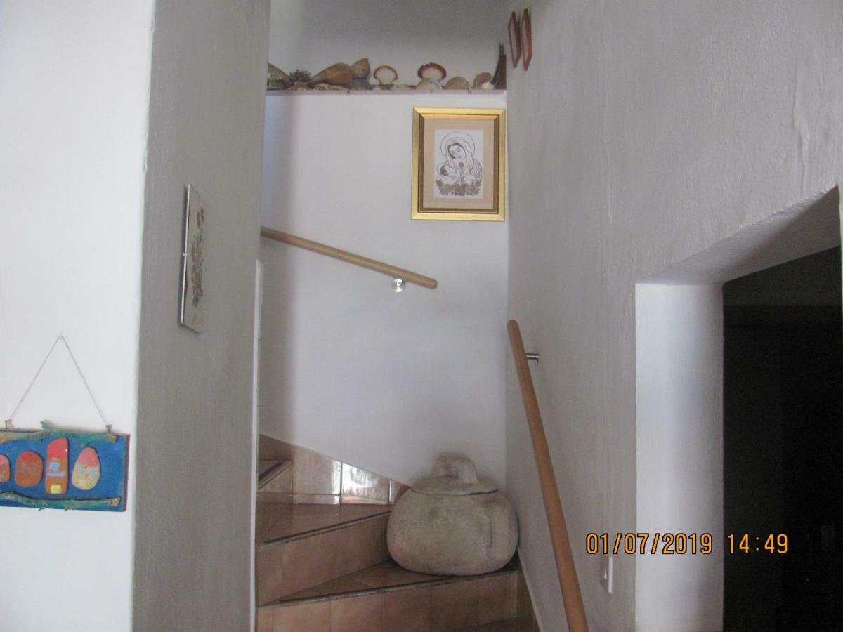 Apartament Apartman Kristina Žuljana Zewnętrze zdjęcie